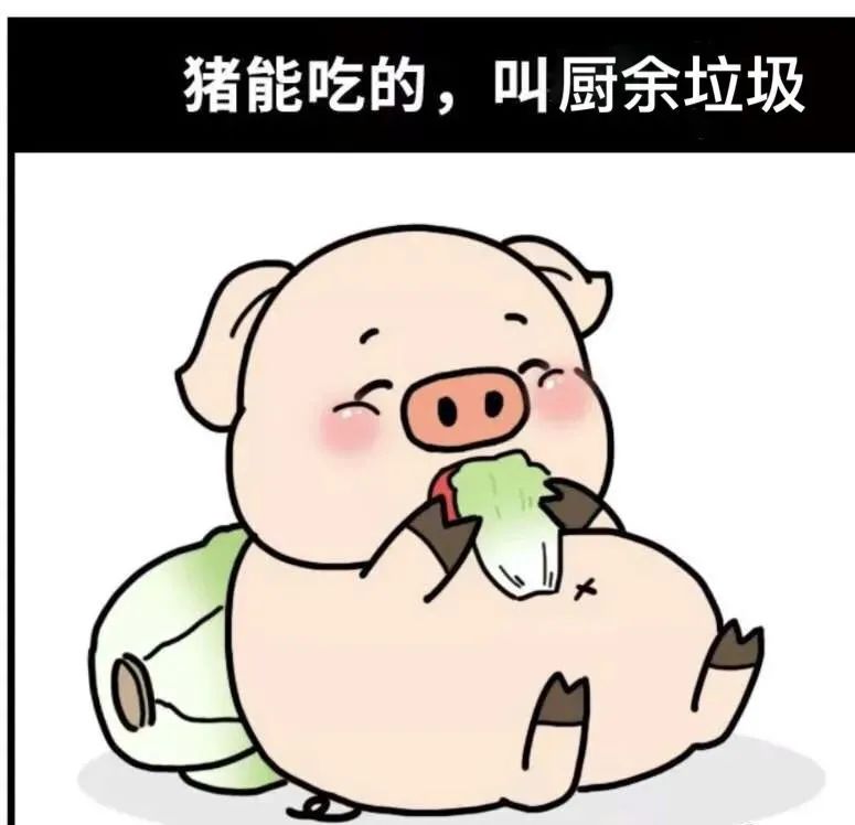 開展垃圾分類 守護綠色家園
