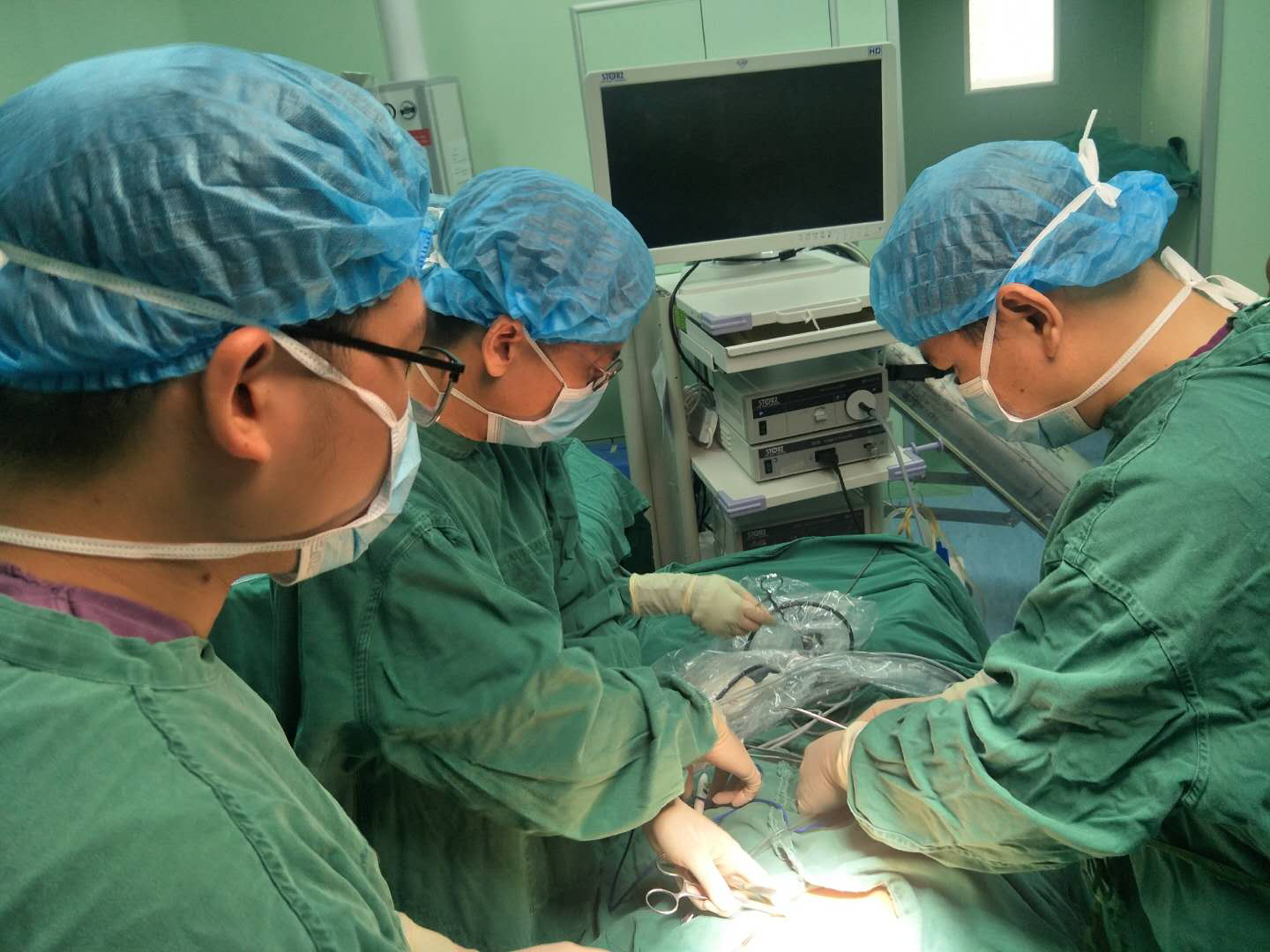 消失的“蛋蛋”去哪兒了