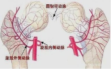 骨科機(jī)器人|精準(zhǔn)“導(dǎo)航”告別“暗箱操作” 骨科機(jī)器人|精準(zhǔn)“導(dǎo)航”告別“暗箱操作”