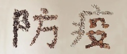 漳州人最新版新冠病毒中醫(yī)藥預防方案來啦！