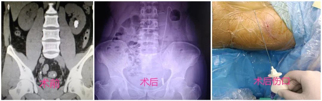 微信圖片_20230515091312.jpg 微信圖片_20230515091312.jpg