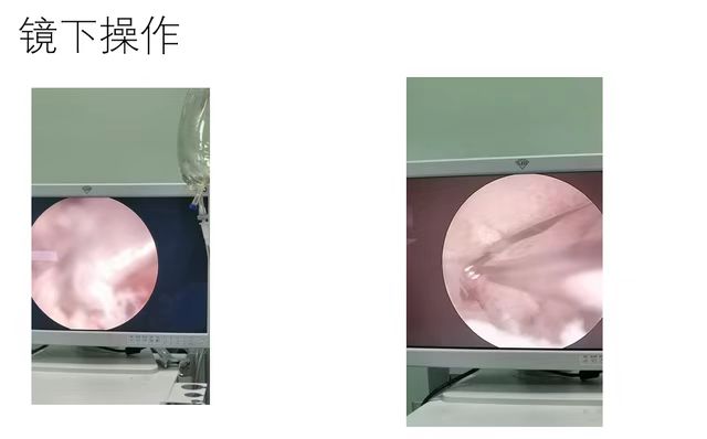 微信圖片_202307061022555.jpg 微信圖片_202307061022555.jpg