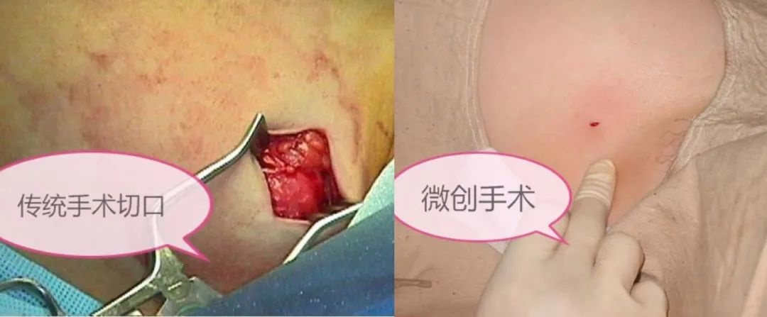 圖片1.png 圖片1.png
