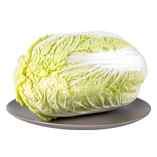 圖片37.png 圖片37.png