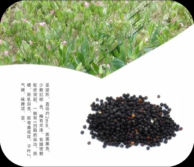 圖片48.jpg 圖片48.jpg