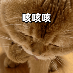 圖片1.png 圖片1.png