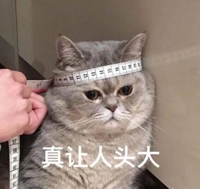 圖片8.jpg 圖片8.jpg