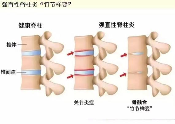 圖片1.png 圖片1.png