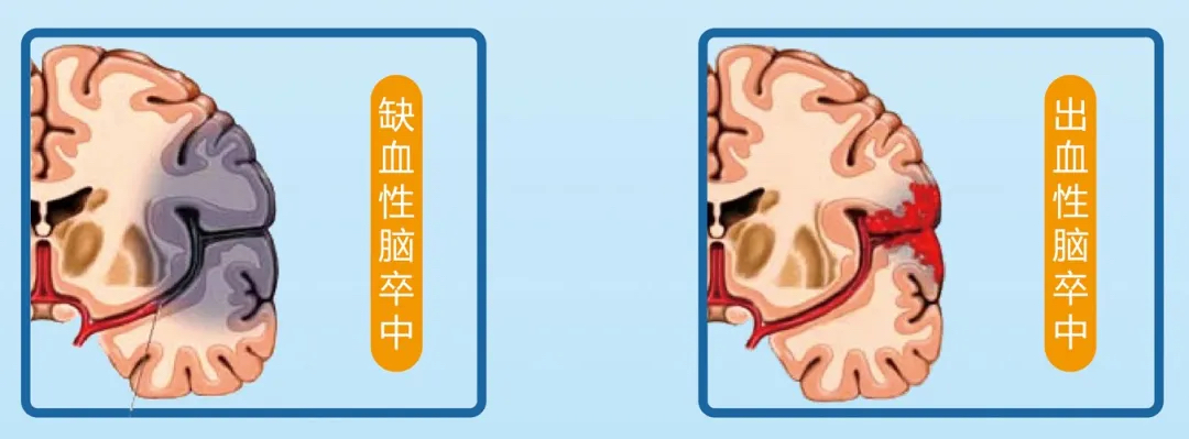 微信圖片_20241101152513.jpg 微信圖片_20241101152513.jpg